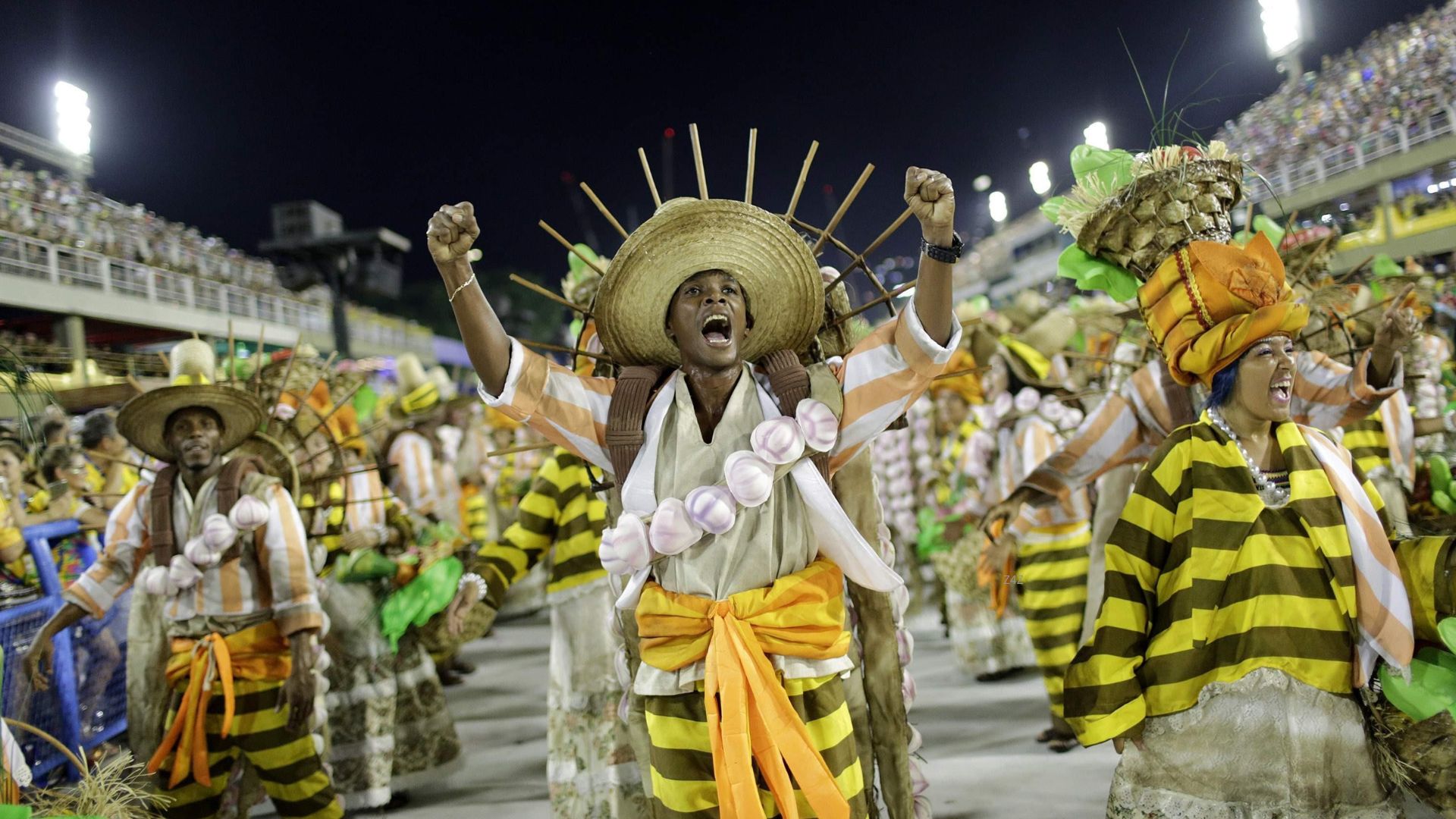 Carnival Carnival Samba School Parade Categories - Rio Carnival